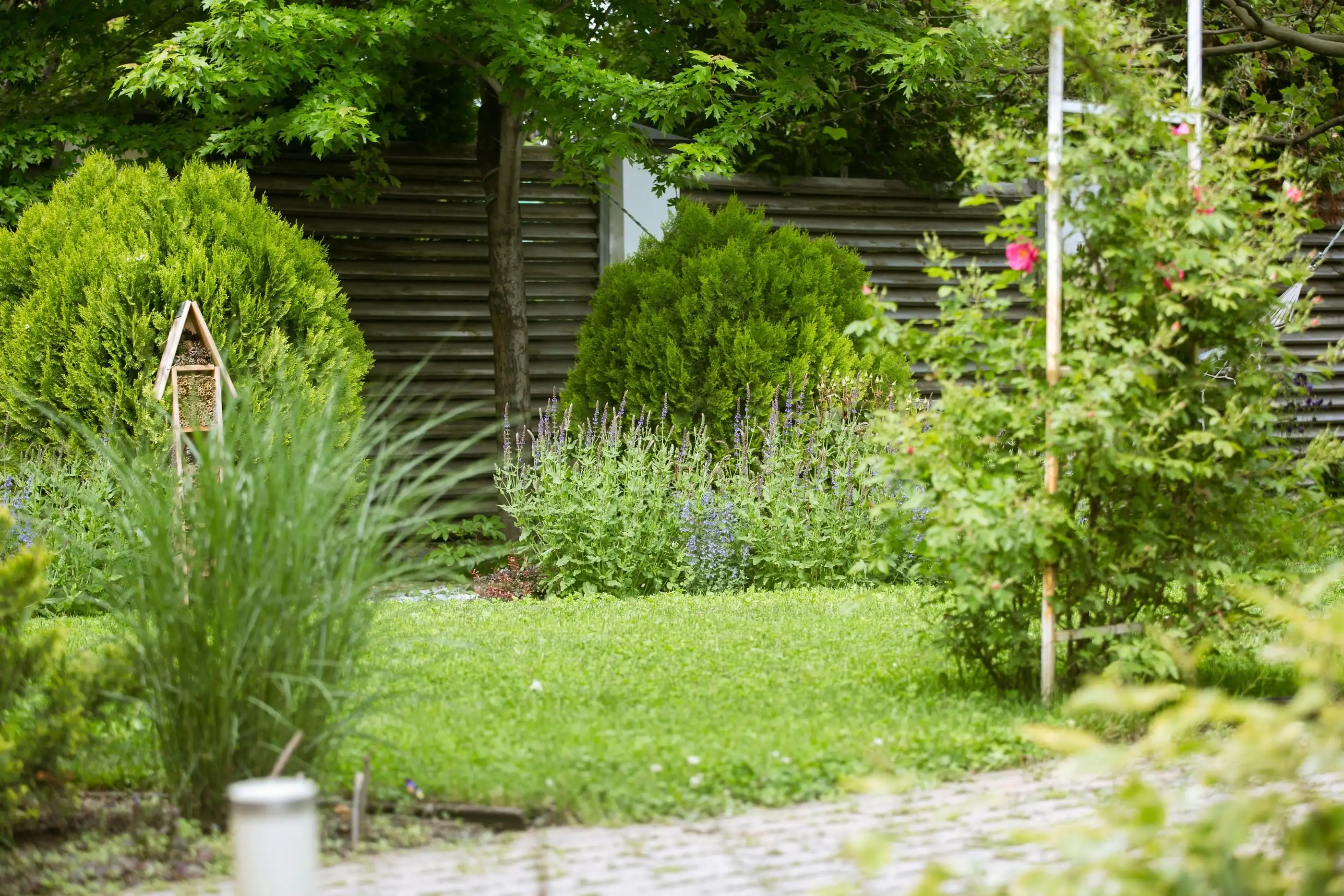 Après, photo illustrative, un jardin de massifs, de graminées et d’arbustes autour d’une pelouse.