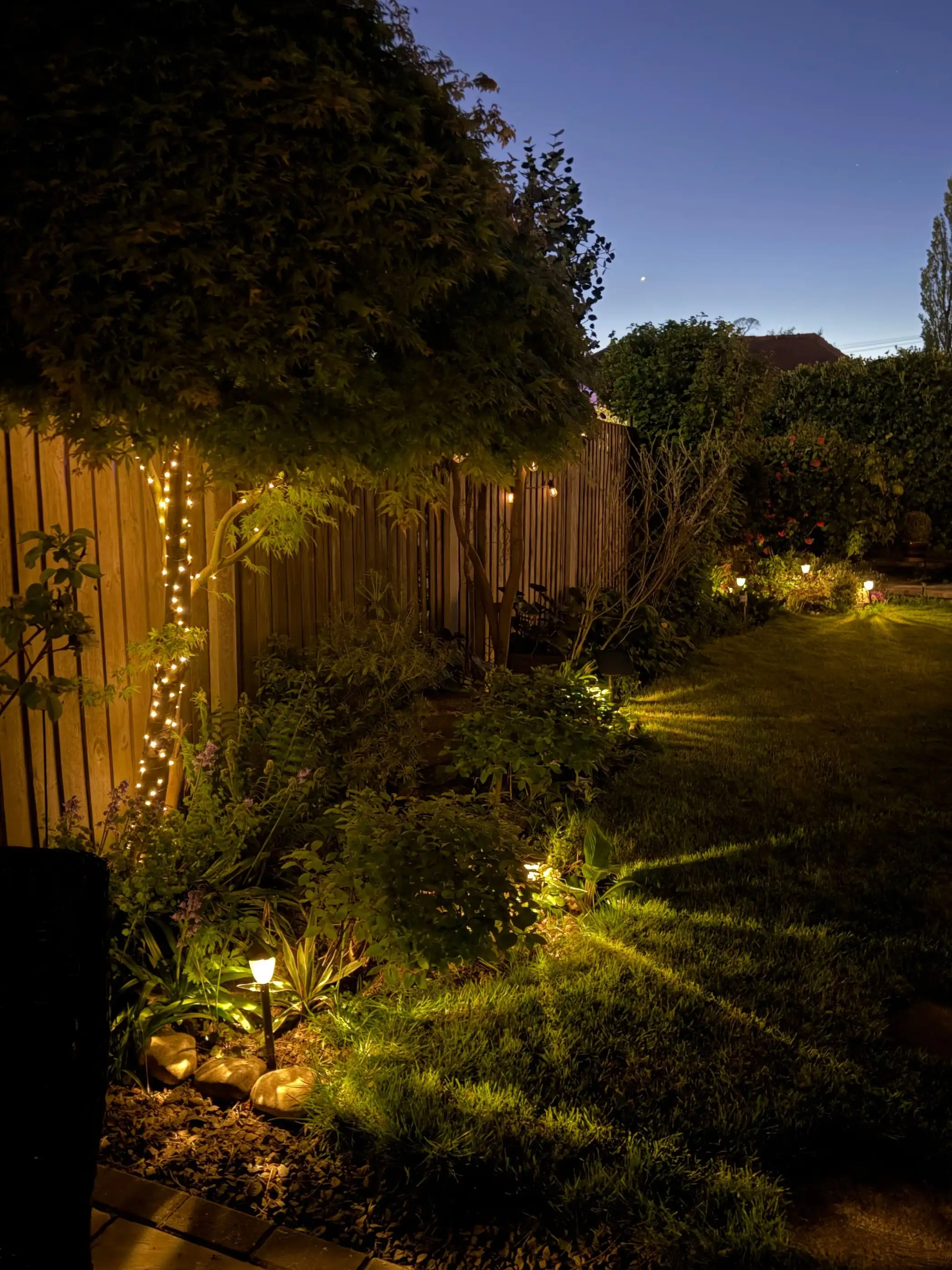 Jardin de nuit, pelouse et massifs éclairés par de petits projecteurs au sol.